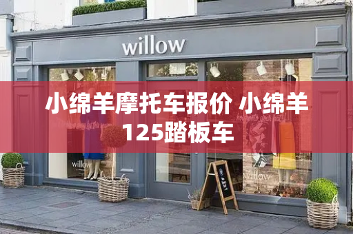 小绵羊摩托车报价 小绵羊125踏板车-第1张图片-星选测评