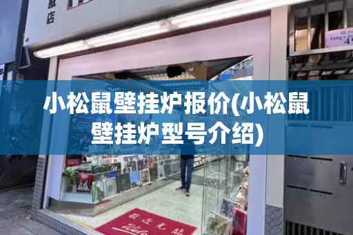 小松鼠壁挂炉报价(小松鼠壁挂炉型号介绍)