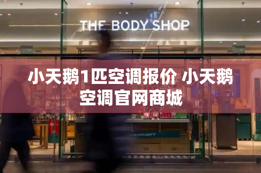 小天鹅1匹空调报价 小天鹅空调官网商城-第1张图片-星选测评