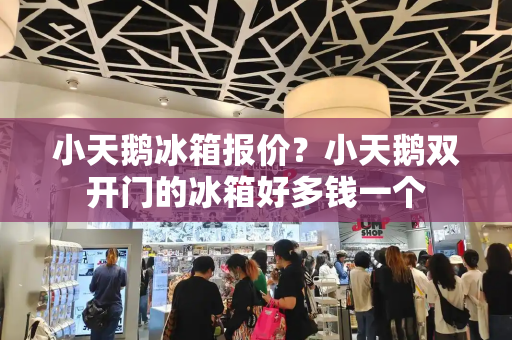 小天鹅冰箱报价？小天鹅双开门的冰箱好多钱一个