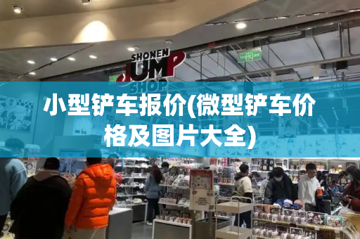 小型铲车报价(微型铲车价格及图片大全)