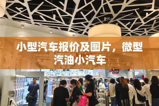 小型汽车报价及图片，微型汽油小汽车