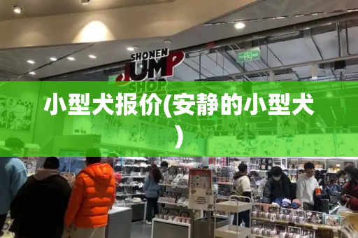 小型犬报价(安静的小型犬)