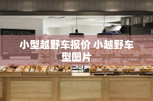 小型越野车报价 小越野车型图片
