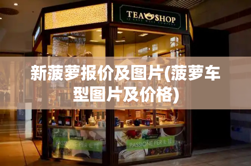 新菠萝报价及图片(菠萝车型图片及价格)