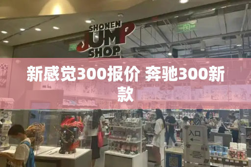 新感觉300报价 奔驰300新款-第1张图片-星选测评