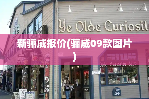 新骊威报价(骊威09款图片)