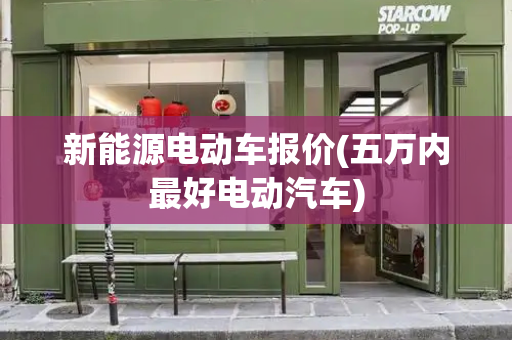 新能源电动车报价(五万内最好电动汽车)