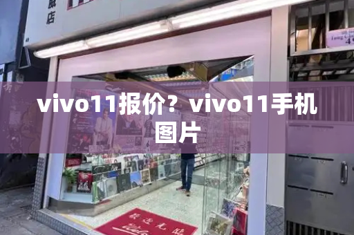 vivo11报价？vivo11手机图片
