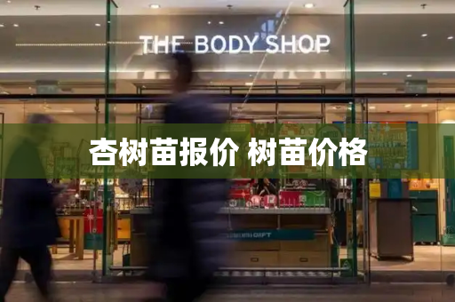 杏树苗报价 树苗价格