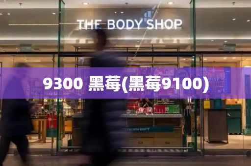 9300 黑莓(黑莓9100)-第1张图片-星选测评