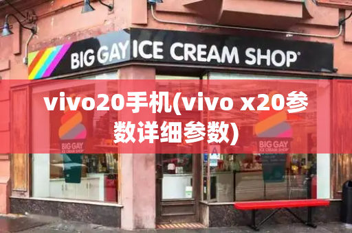 vivo20手机(vivo x20参数详细参数)