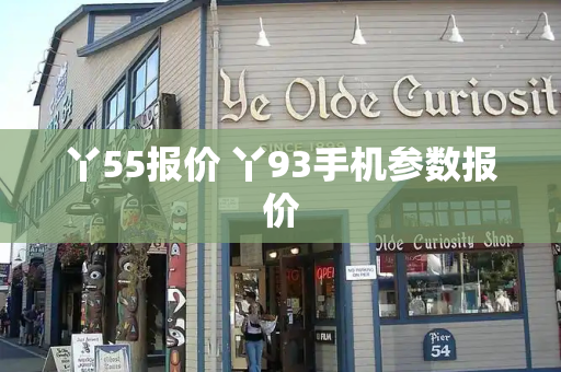丫55报价 丫93手机参数报价-第1张图片-星选测评