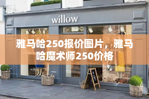 雅马哈250报价图片，雅马哈魔术师250价格