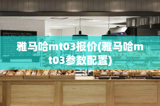 雅马哈mt03报价(雅马哈mt03参数配置)-第1张图片-星选测评