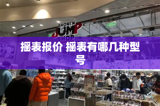 摇表报价 摇表有哪几种型号