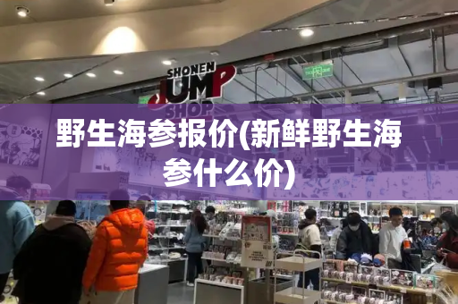 野生海参报价(新鲜野生海参什么价)-第1张图片-星选测评