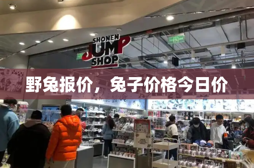 野兔报价，兔子价格今日价-第1张图片-星选测评