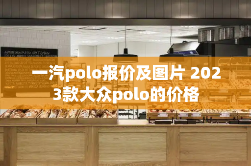 一汽polo报价及图片 2023款大众polo的价格-第1张图片-星选测评