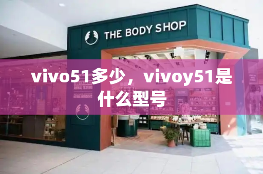 vivo51多少，vivoy51是什么型号-第1张图片-星选测评
