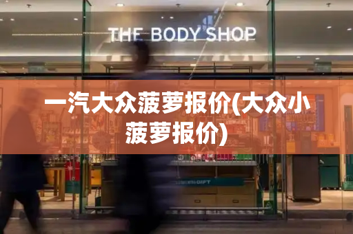 一汽大众菠萝报价(大众小菠萝报价)-第1张图片-星选测评