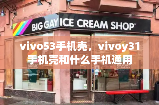 vivo53手机壳，vivoy31手机壳和什么手机通用