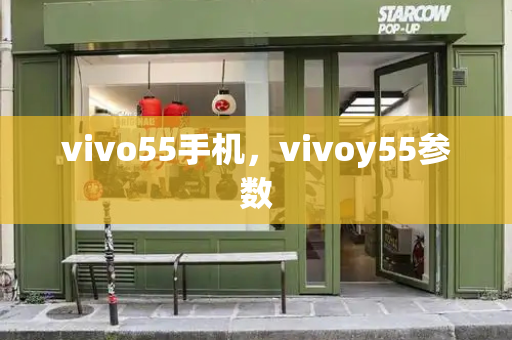 vivo55手机，vivoy55参数-第1张图片-星选测评