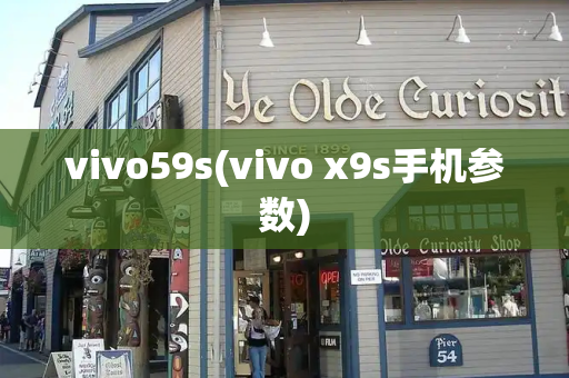 vivo59s(vivo x9s手机参数)