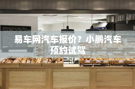 易车网汽车报价？小鹏汽车预约试驾