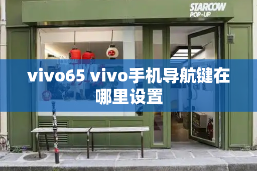 vivo65 vivo手机导航键在哪里设置-第1张图片-星选测评