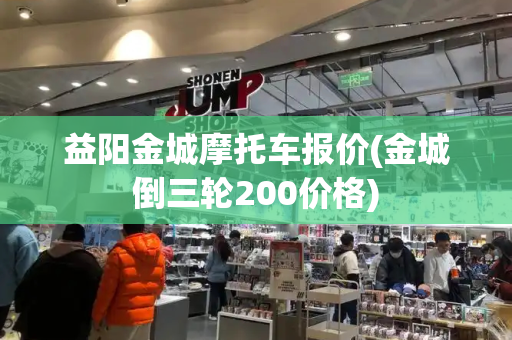 益阳金城摩托车报价(金城倒三轮200价格)