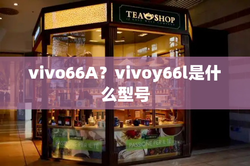 vivo66A？vivoy66l是什么型号