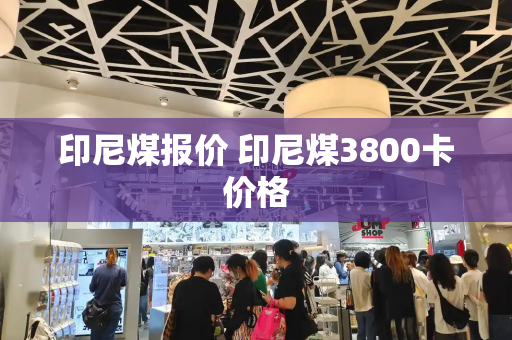印尼煤报价 印尼煤3800卡价格-第1张图片-星选测评