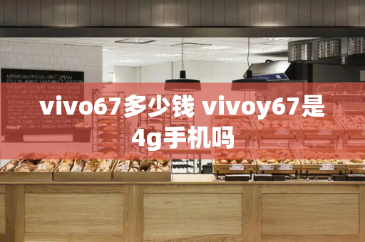 vivo67多少钱 vivoy67是4g手机吗