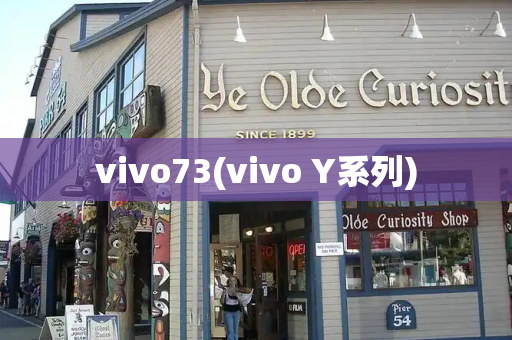 vivo73(vivo Y系列)-第1张图片-星选测评