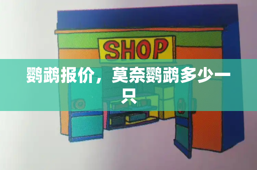 鹦鹉报价，莫奈鹦鹉多少一只