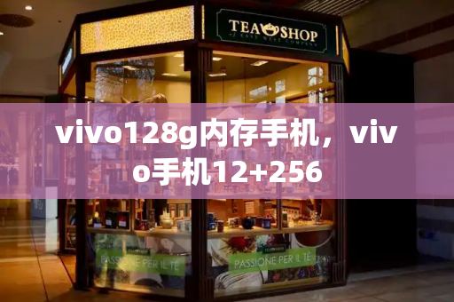 vivo128g内存手机，vivo手机12+256