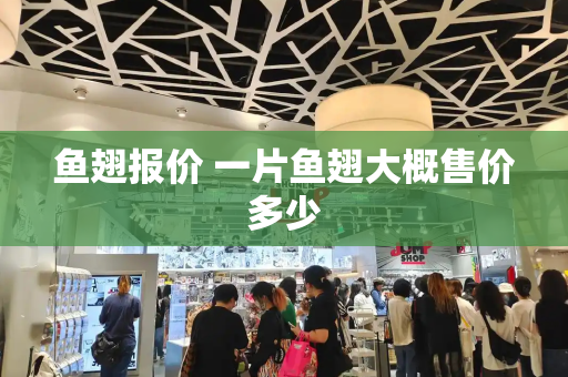 鱼翅报价 一片鱼翅大概售价多少