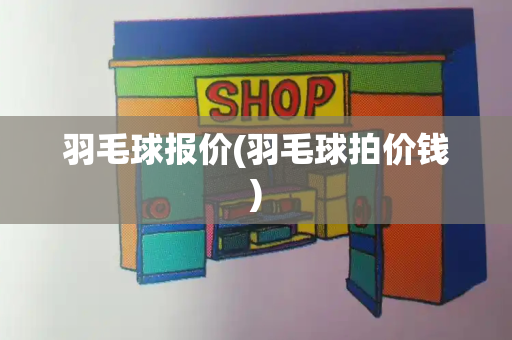 羽毛球报价(羽毛球拍价钱)