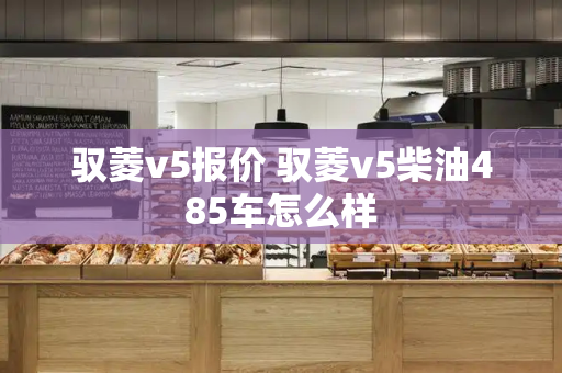 驭菱v5报价 驭菱v5柴油485车怎么样-第1张图片-星选测评
