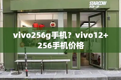 vivo256g手机？vivo12+256手机价格-第1张图片-星选测评