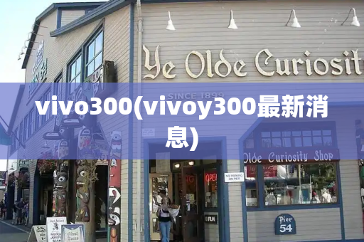 vivo300(vivoy300最新消息)