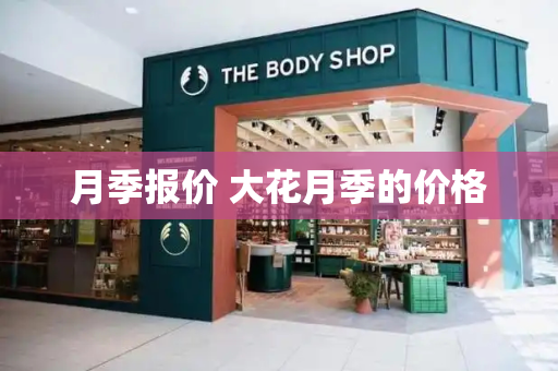 月季报价 大花月季的价格