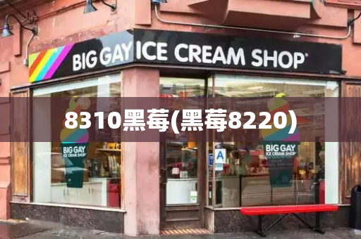 8310黑莓(黑莓8220)-第1张图片-星选测评
