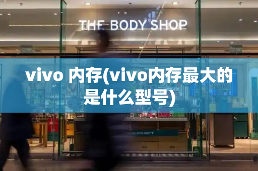 vivo 内存(vivo内存最大的是什么型号)-第1张图片-星选测评