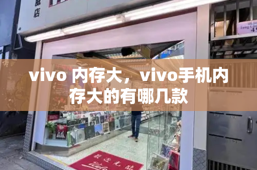 vivo 内存大，vivo手机内存大的有哪几款-第1张图片-星选测评