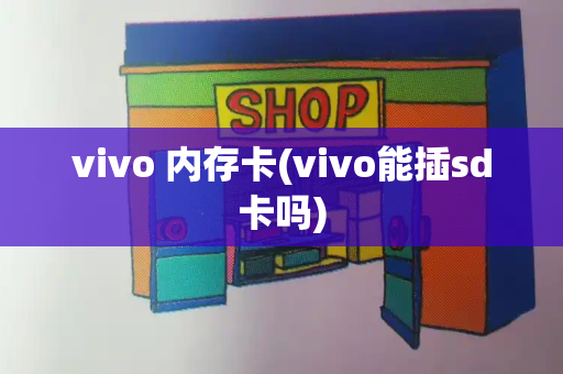 vivo 内存卡(vivo能插sd卡吗)