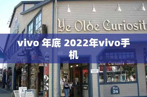 vivo 年底 2022年vivo手机