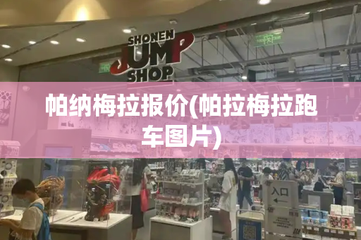 帕纳梅拉报价(帕拉梅拉跑车图片)-第1张图片-星选测评