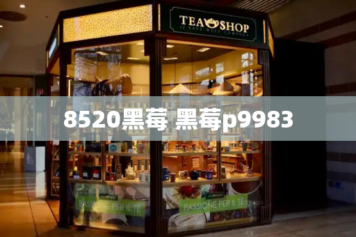 8520黑莓 黑莓p9983